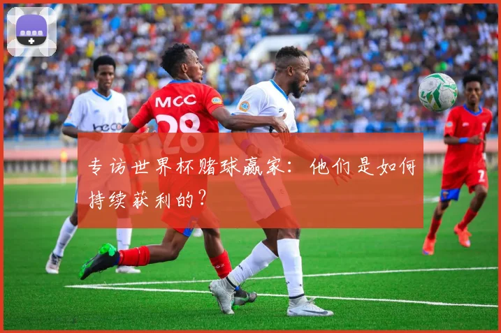 专访世界杯赌球赢家：他们是如何持续获利的？