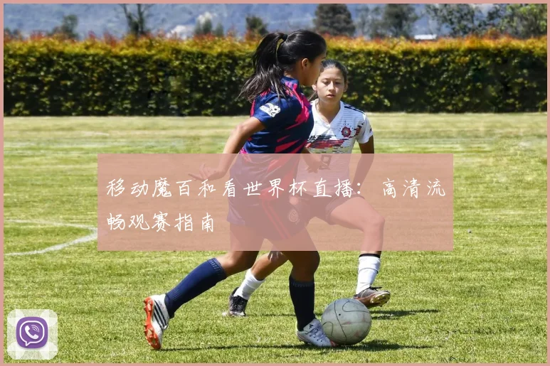 移动魔百和看世界杯直播：高清流畅观赛指南